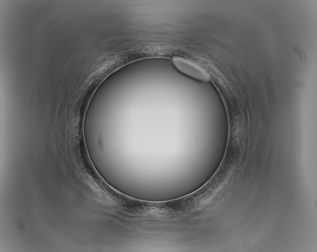 X0000111430585200907131225