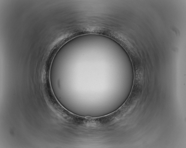 X0000111430587200907131225