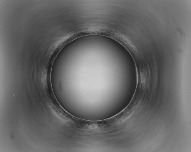 X0000111430588200907131225