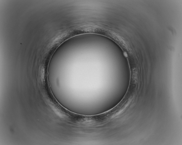X0000111430589200907131225