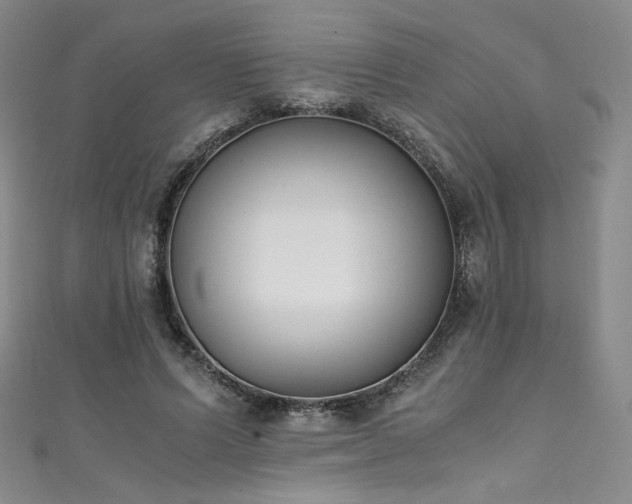 X0000111430591200907131225