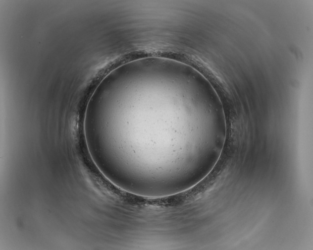 X0000111430592200907131225