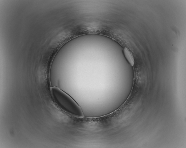 X0000111430593200907131225