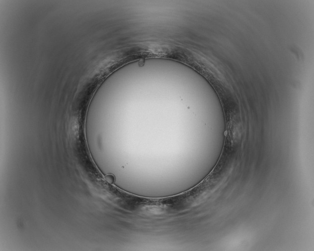 X0000111430595200907131225