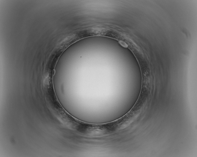 X0000111430597200907131225