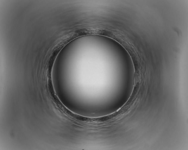 X0000111430599200907131225