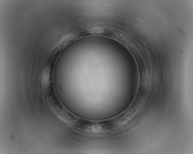 X0000111430600200907131225
