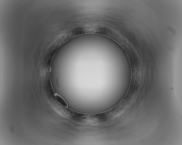 X0000111430601200907131225