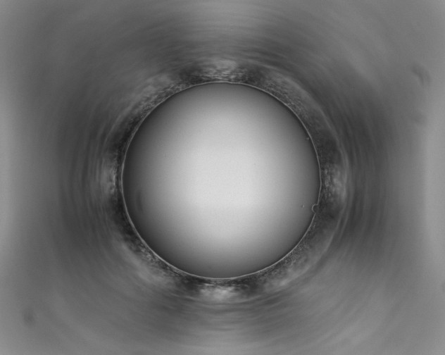 X0000111430602200907131224