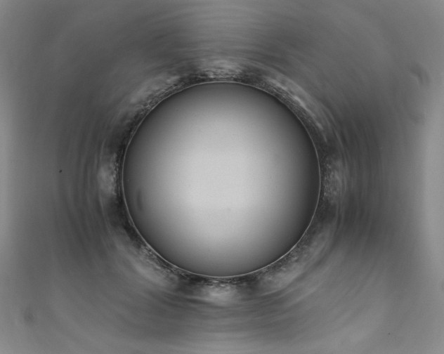 X0000111430604200907131224