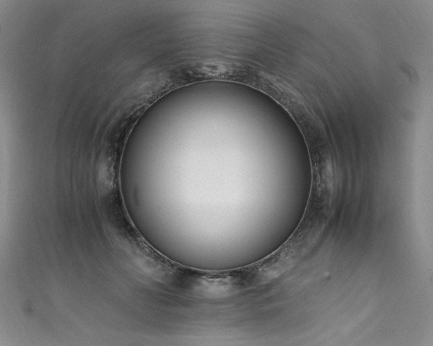 X0000111430606200907131224