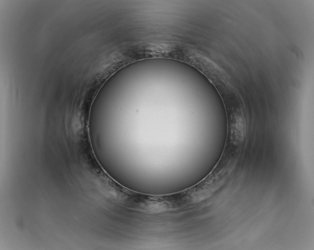 X0000111430608200907131224