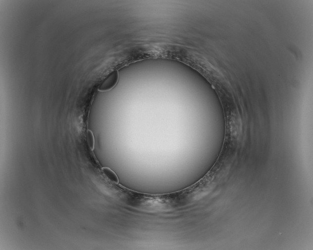 X0000111430611200907131224