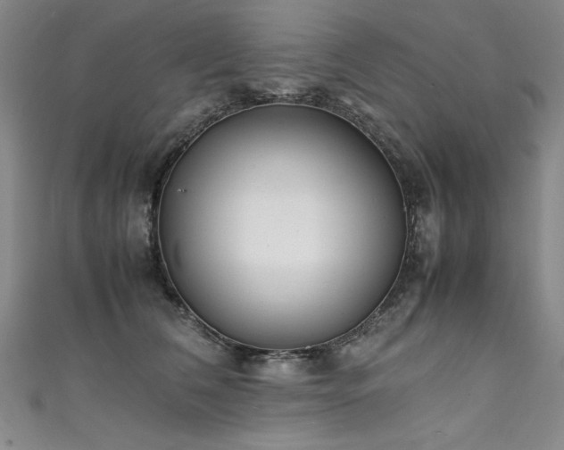 X0000111430612200907131224