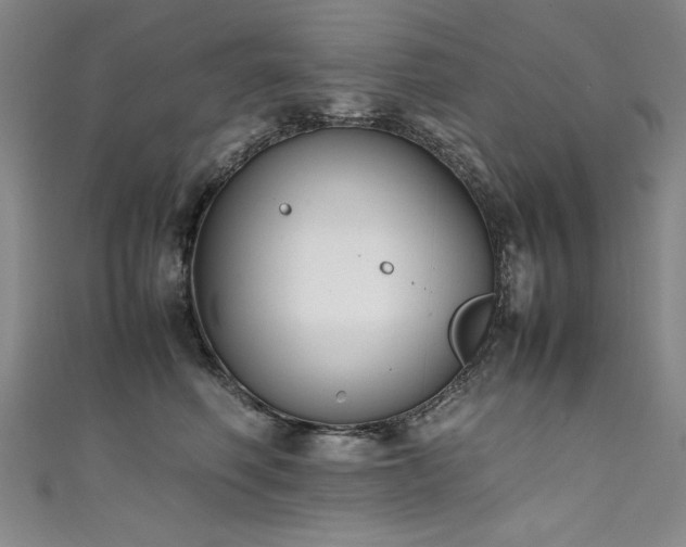 X0000111430614200907131224