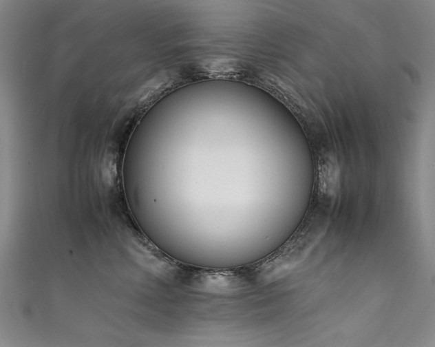 X0000111430618200907131224