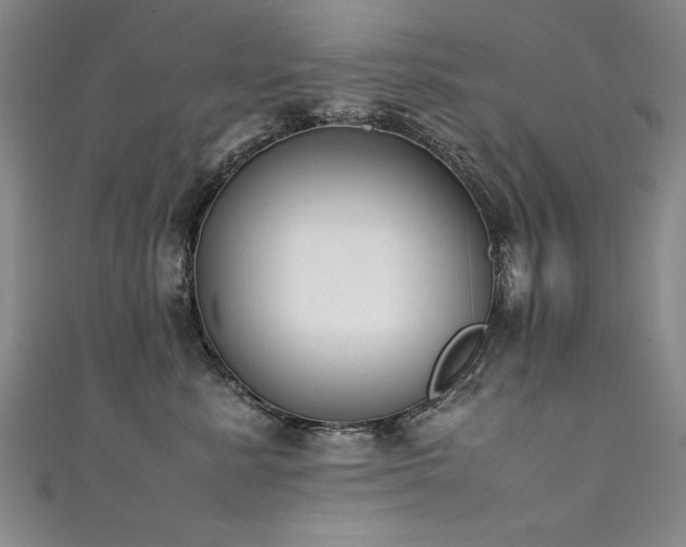 X0000111430619200907131224