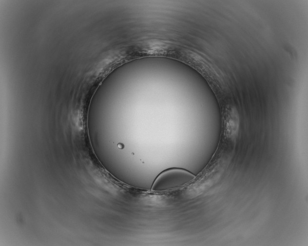 X0000111430620200907131224