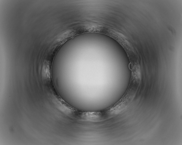 X0000111430622200907131224