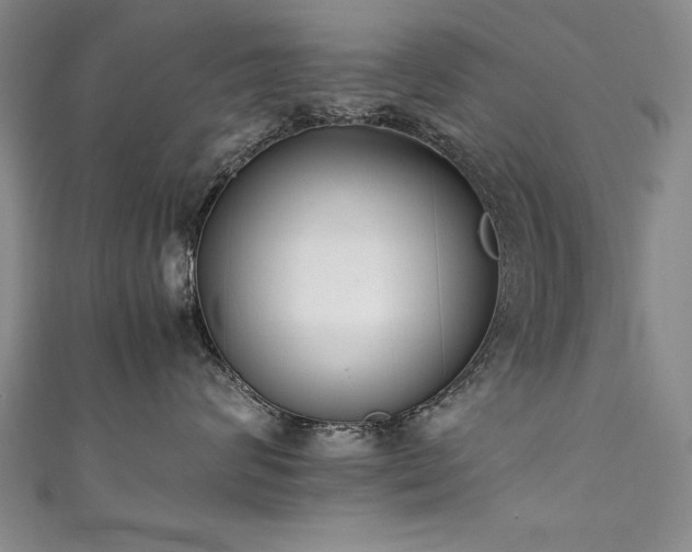 X0000111430624200907131224