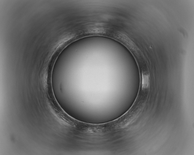 X0000111430627200907131224