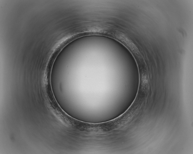 X0000111430628200907131224