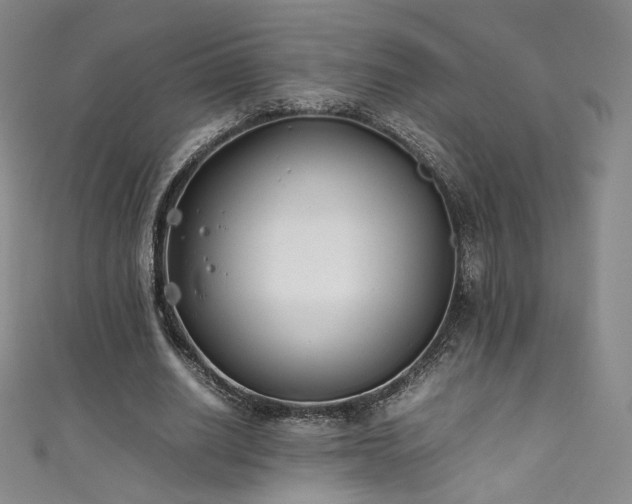 X0000111430630200907131224