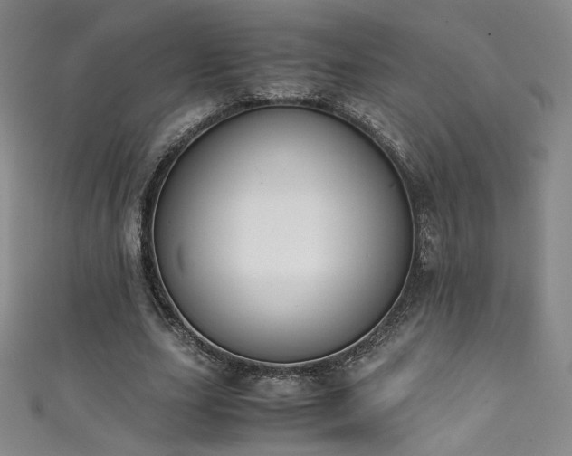 X0000111430631200907131224