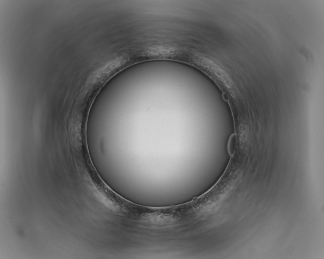 X0000111430633200907131224