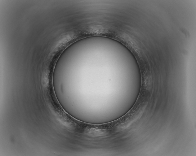 X0000111430635200907131224