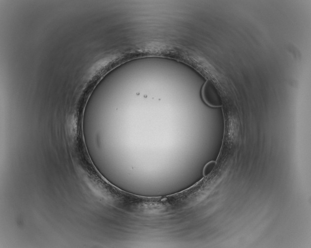 X0000111430636200907131224
