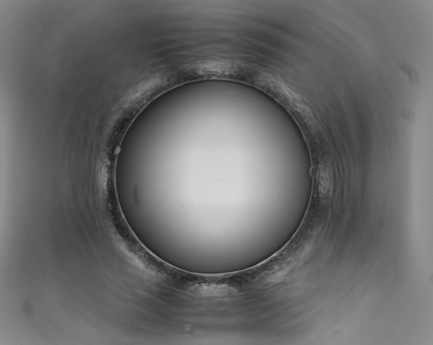 X0000111430637200907131224