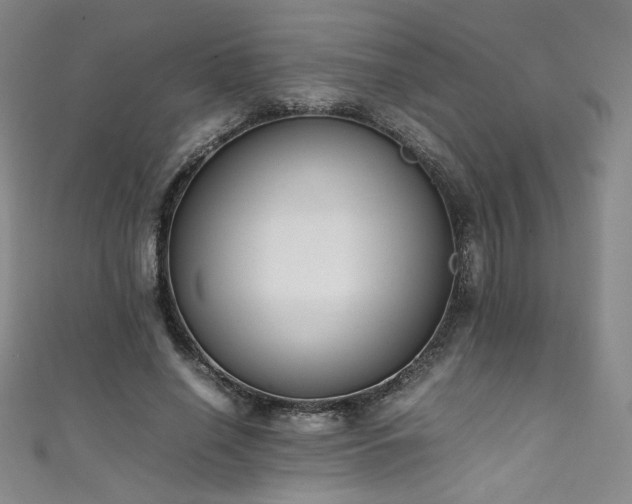 X0000111430638200907131224