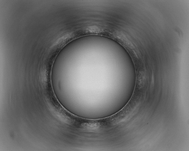 X0000111430639200907131224