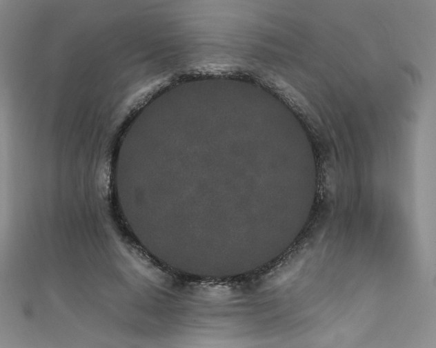 X0000111430640200907131224