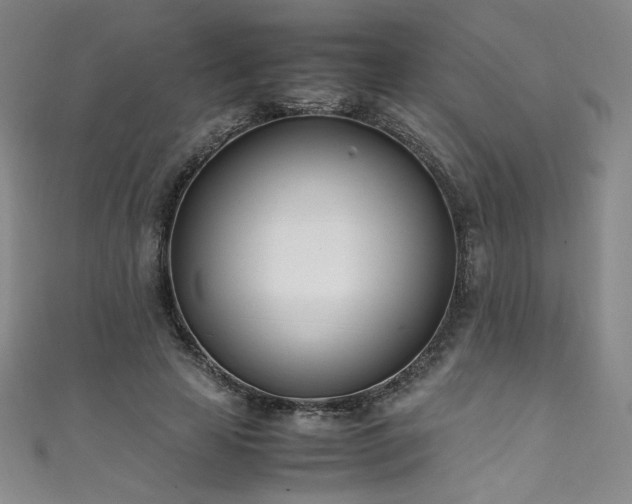 X0000111430641200907131224