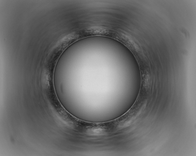 X0000111430643200907131224