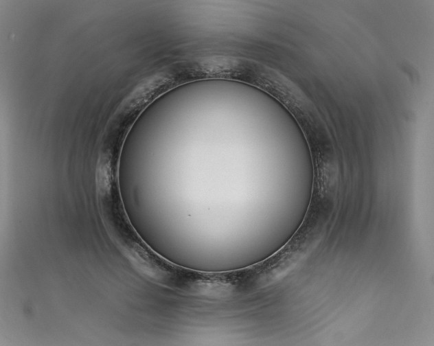 X0000111430644200907131224
