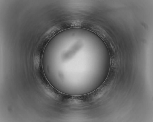 X0000111430648200907131224