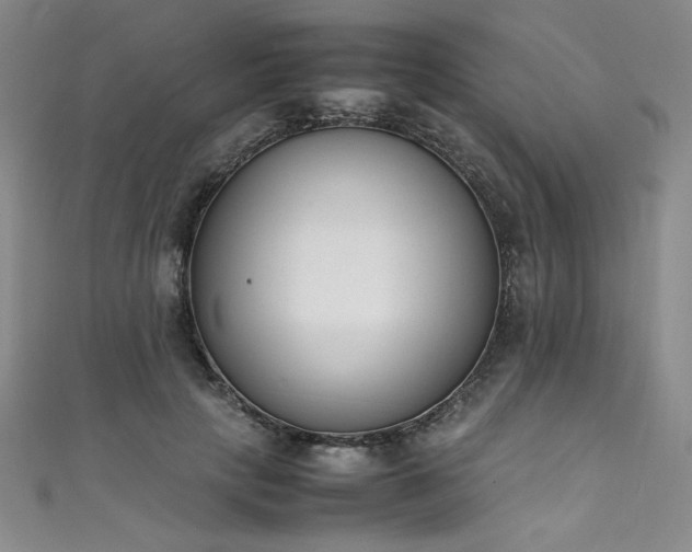 X0000111430649200907131224