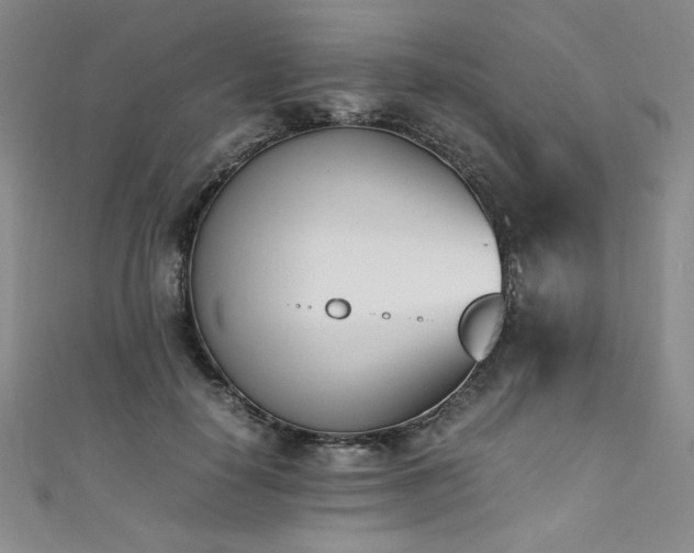X0000111430650200907131224