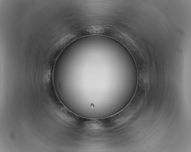 X0000111430652200907131224