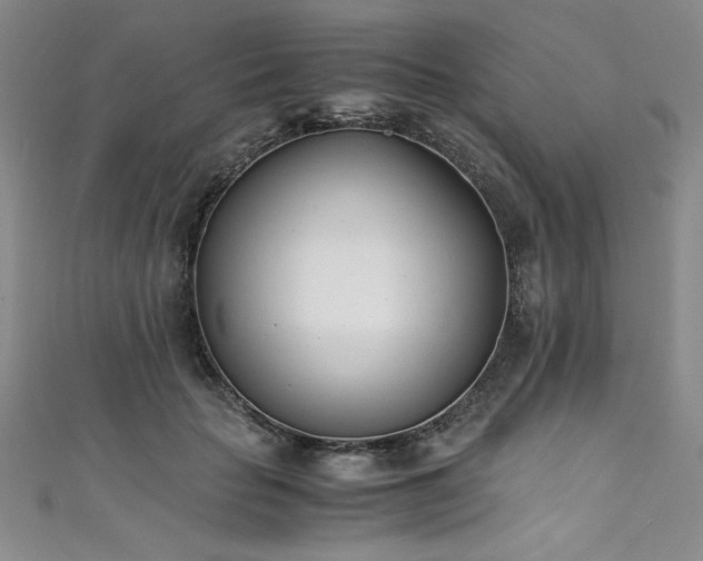 X0000111430653200907131224
