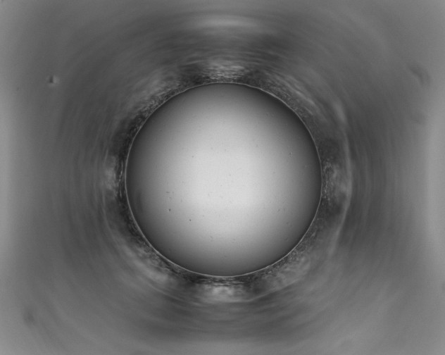 X0000111430655200907131224
