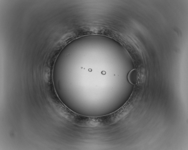 X0000111430656200907131224