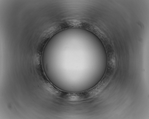 X0000111430658200907131224