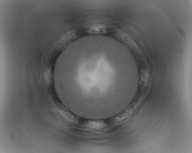 X0000111430659200907131224