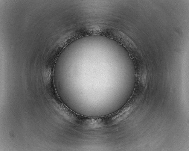 X0000111430660200907131224
