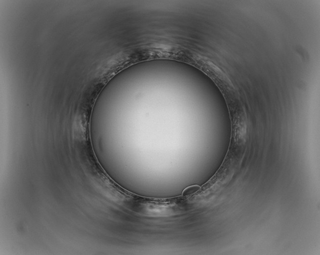 X0000111430661200907131224