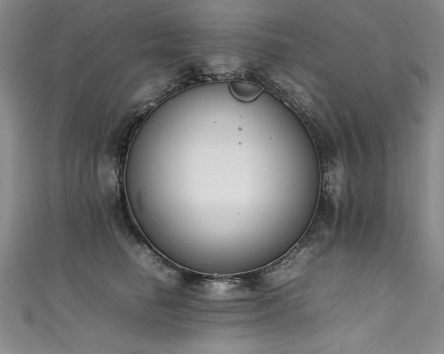 X0000111430662200907131224